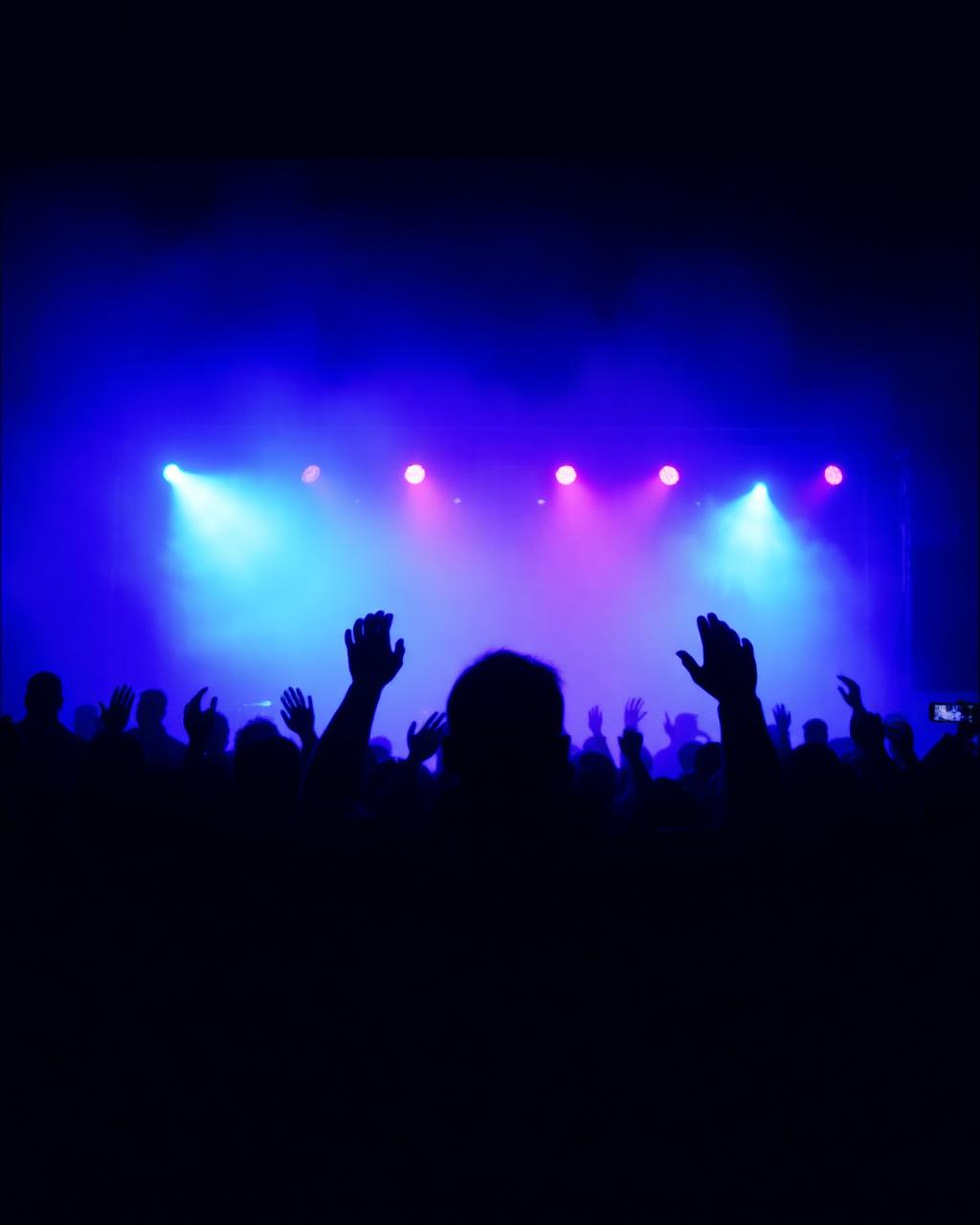 Crowd silhouettes